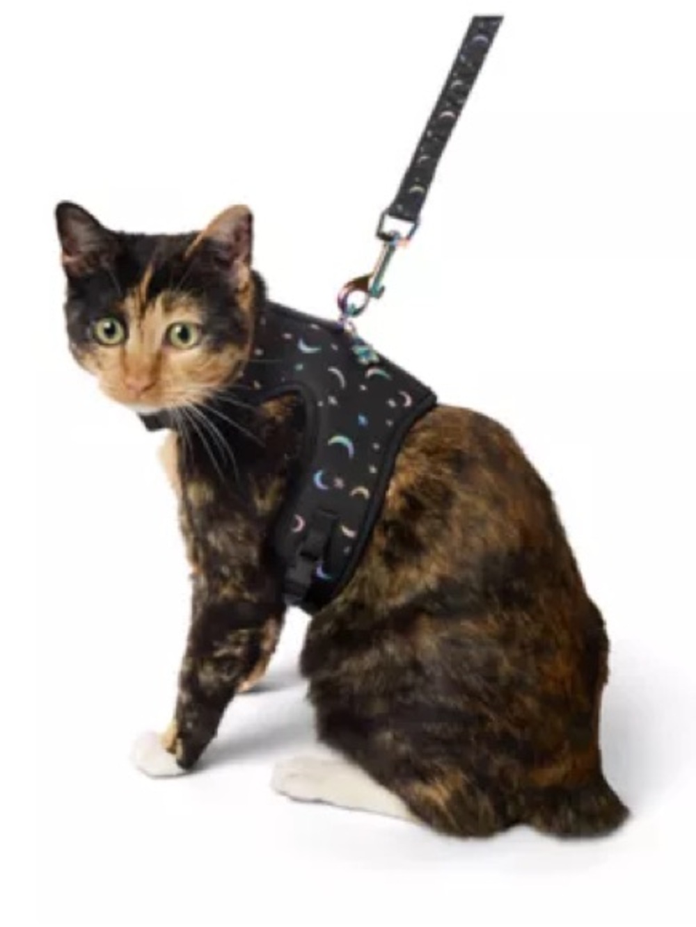 Whisker City® Black Moon Cat Harness and Leash Combo Set KITTEN